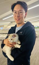 441604006_776429381282016_303134100299513410_n Ragdoll kitten