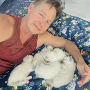 San Diego Purebred Ragdoll Kittens love to snuggle