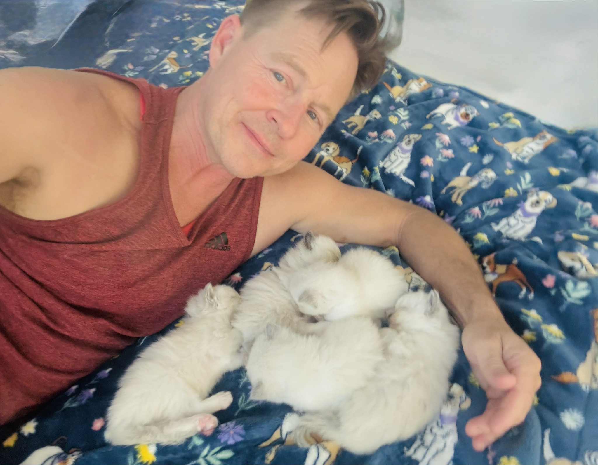 San Diego Purebred Ragdoll Kittens love to snuggle